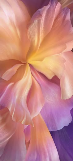 a close up view of a pink and purple flower