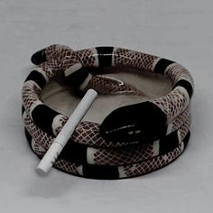 Things To Make Out Of Clay Useful, Ashtrays Ideas, Homemade Ashtray Clay, Clay Ash Tray Ideas, Homemade Ashtray, Snake Clay Ideas, Ashtray Ideas, Clay Ash Tray Diy, Ceramic Ash Tray