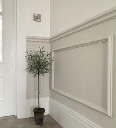 a potted plant sitting on the floor next to a white wall in a room