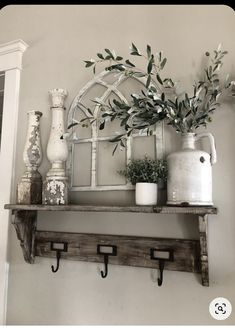 a shelf with some plants and vases on it