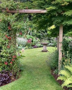 a garden with lots of green plants and flowers