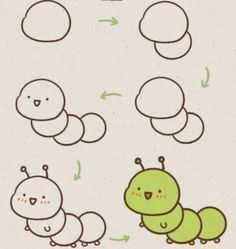 the drawing shows how to draw caterpillars in different stages of life cycle