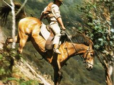 a man riding on the back of a brown horse