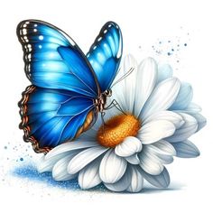 a blue butterfly sitting on top of a white flower