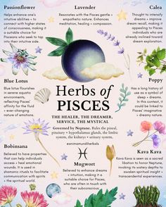 Herbs of Pisces by @animamundiherbs 

If you're a Pisces check out these natural herbs.

Passionflower | Lavendar | Calea | Blue Lotus | Poppy | Kava Kava | Mugwort | Bobinsana 

🌕 The Moon represents who we are before we even think about who we are. She represents our instinctual self and she describes our deepest vulnerabilities, as well as our most profound capacity to connect with others. @animamundiherbals for more info!

#pisces #fullbluemoon #fullmoonritual #herbalastrology Parsley Spiritual Benefits, Witchy Flowers, Herbal Astrology, Pisces Full Moon, Zodia Pești, Kava Kava, Moon In Pisces, Medicine Garden, Medical Herbs