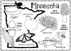 the minnesota state map is shown in black and white, with pictures of different things on it