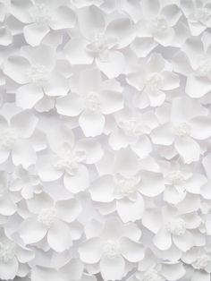 white paper flowers are arranged on the wall