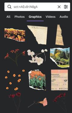 an iphone screen with pictures and flowers on it