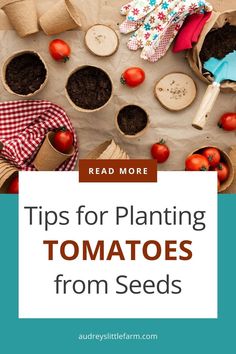 tomatoes and other vegetables with text overlay that reads tips for planting tomatoes from seeds