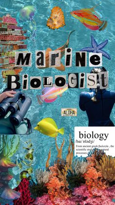 the cover of marine biologist by aldia, with images of fish and corals