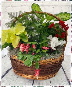 Gardening Christmas Gift Basket - Fantastic! I like them - Visit to See More IMMEDIATELY! Basket Christmas, Christmas Basket, Garden Basket, Hosting Holidays, Holiday Flower, Christmas Baskets