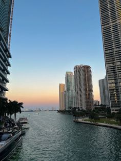 boats are parked along the water in front of high rise buildings and palm trees at sunset