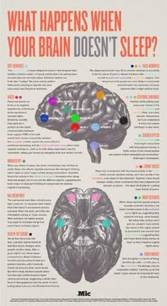 a poster with the words what happens when your brain doesn't sleep?