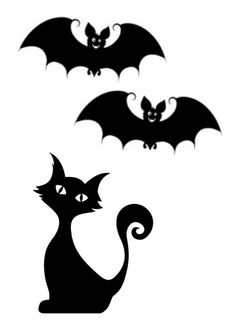 three bats flying over a black cat