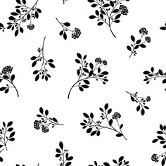 black and white floral pattern on a white background