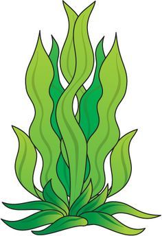 an image of seaweed with green leaves on white background royalty illustration stock photo, clip art