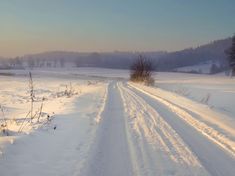 a snow covered road in the middle of a field with trees and grass on both sides