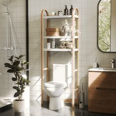 a white toilet sitting in a bathroom next to a wooden shelf filled with bottles and containers