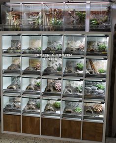 a display case filled with lots of different types of plants