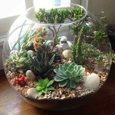 a glass bowl filled with plants and rocks on top of a wooden table next to a window