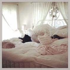 two cats laying on top of a bed covered in white sheets and blankets next to each other