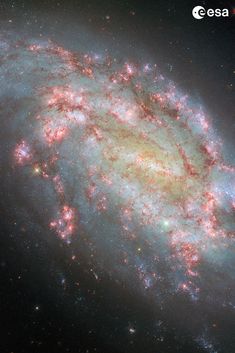 Marvel at the breathtaking beauty of galaxy NGC 1559, a barred spiral galaxy located 35 million light-years away in the constellation Reticulum. This composite image, created from ten different Hubble captures, spans the telescope’s full light sensitivity, from ultraviolet to near-infrared, revealing stunning details across a vast range of astrophysical processes. Bright pink and red patches in NGC 1559’s arms indicate regions of active star formation, glowing with H-alpha light from hydrogen gas clouds. With data collected over multiple observing programmes since 2009, this image offers scientists and the public a rare glimpse into our cosmic past. Hubble Pictures, Hydrogen Gas, Star Formation, James Webb Space Telescope, Light Sensitivity