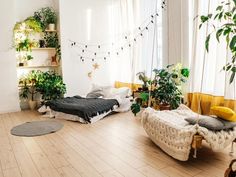 a bedroom with white walls and wooden floors has plants on the wall, while a bed sits in front of a window