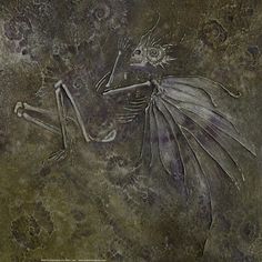 a drawing of a skeleton in the shape of a winged creature