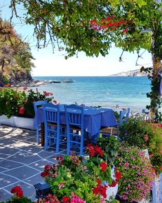 there are many blue chairs and tables with flowers around them by the water's edge