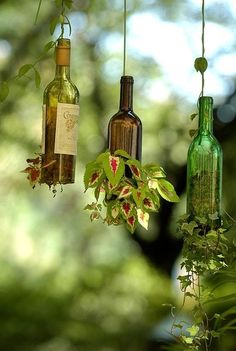 three wine bottles are hanging from the ceiling in front of some plants and trees,