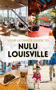 the ultimate guide to nuu louisville, new orleans's favorite restaurant