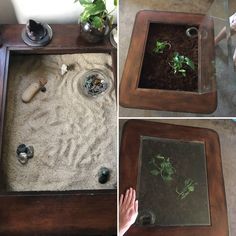 a table with plants and rocks in it on the top, and bottom view of someone's hand reaching for them