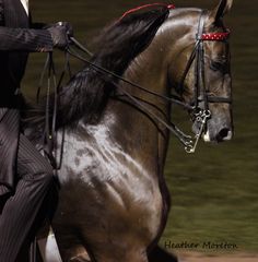 a woman riding on the back of a brown horse