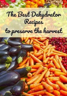 the best deli dehydration recipe to preserve the harvest is an eggplant, carrots, zucchini, and squash