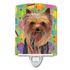 a yorkshire terrier dog is shown on a colorful background night light with an adorable face