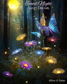 some flowers and butterflies in the woods with words good night sweet dreams written on them