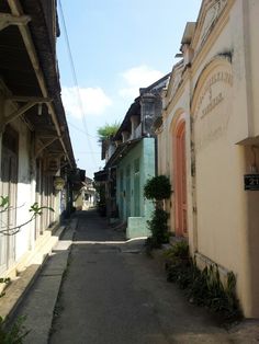 an alley way with several buildings on both sides and trees growing in the street between them