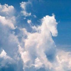 a white horse is standing in the middle of some clouds and blue sky with one head sticking out