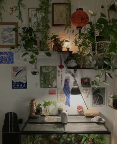 a desk with plants and pictures on the wall above it, along with a lamp