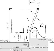 a drawing of a dog with its head in the ground, and measurements for it's body