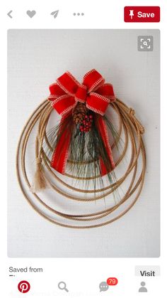 a red bow is hanging on a rope with some pine cones and other things around it