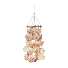 a chandelier made out of seashells hanging from a rope on a white background