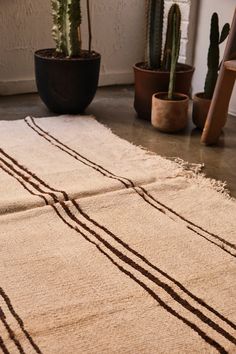 a rug with lines drawn on it in front of potted cacti