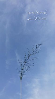 a tall tree sitting under a blue sky with writing on it's branches in the air