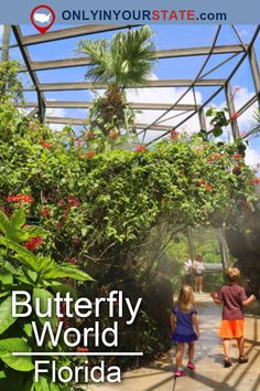 two children are walking through the butterfly world in florida