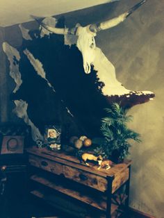 a room with a cow skull on the wall and an old dresser in front of it