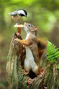 a squirrel is standing on top of a tree stump with a bird perched on it