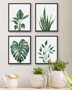 three green plants and two white vases on a table