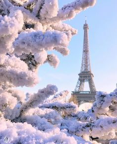 the eiffel tower is covered in snow