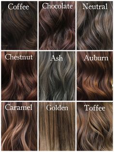 Different Shades Of Brown Hair, Shades Of Brown Hair, Shades Of Brunette, Different Shades Of Brown, Coffee Hair, Chestnut Hair, Ash Brown Hair